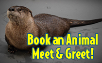 Book an animal Meet & Greet