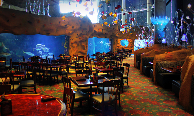 Aquarium dining room