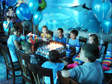 Birthday Party at the aquarium - photo 1