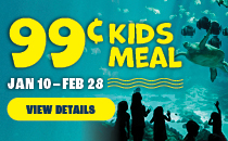$0.99 Kids Meal