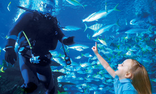 Scuba diver inside the aquarium