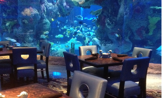 Dining room surrounded by Aquarium