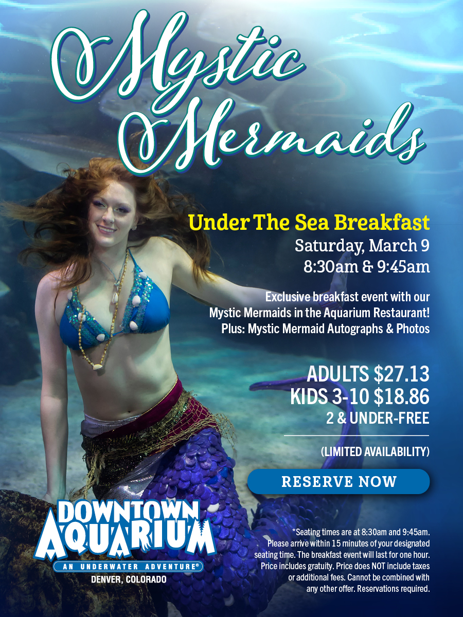 Mystic Mermaids Under the Sea Breakfast Banner Graphic