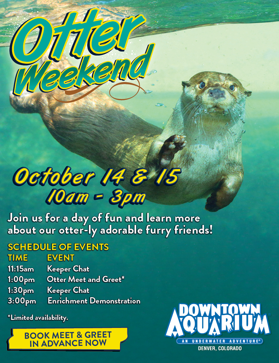 Otter Weekend - The Downtown Aquarium Denver