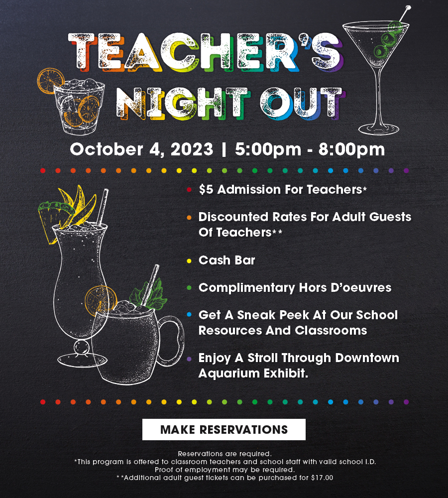 Teacher night out - October 5th 2022