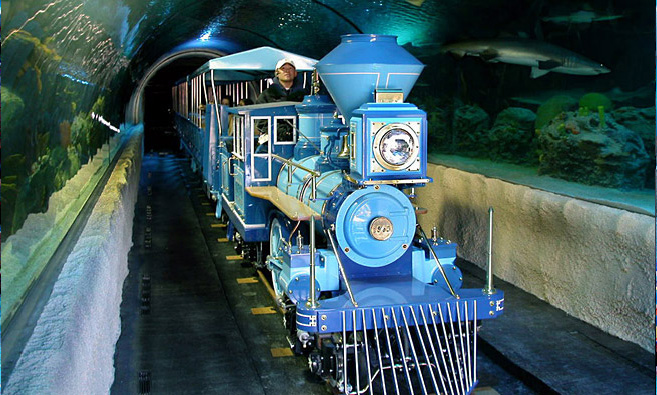 Train in aquarium tunnel