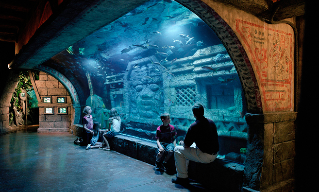 Ancient sculptures inside aquarium tank
