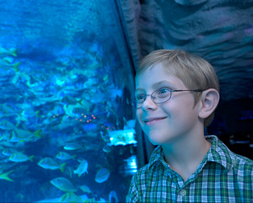 Birthday boy enjoying the aquarium