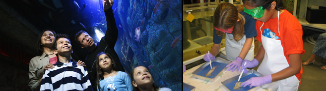 Photo of a family at the aquarium and an interactive exhibit